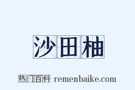 沙田柚是什么意思的图片